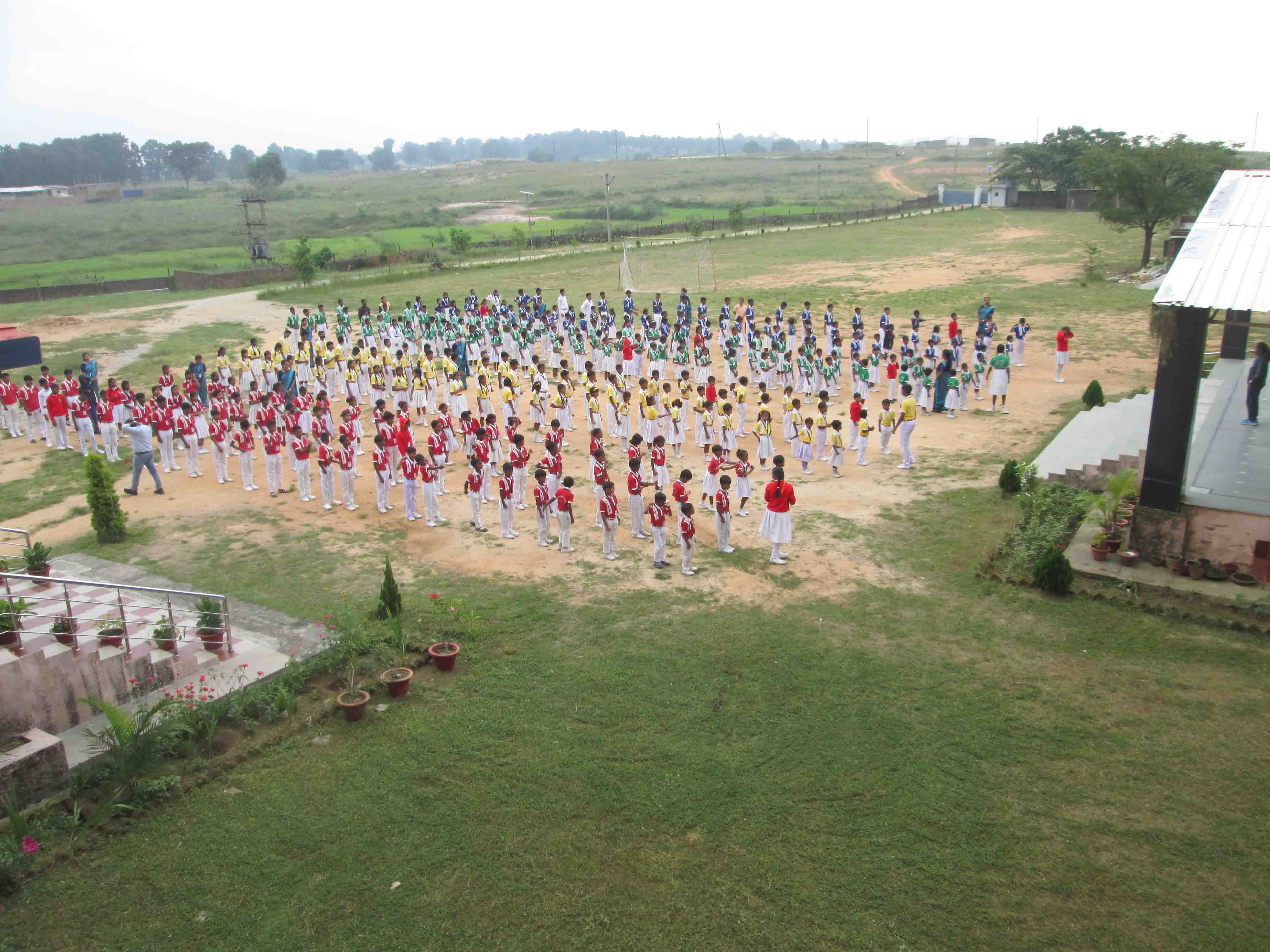 a forest after an apocalypse